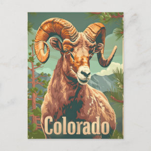Postal Vintage de ovino colorado bighorn