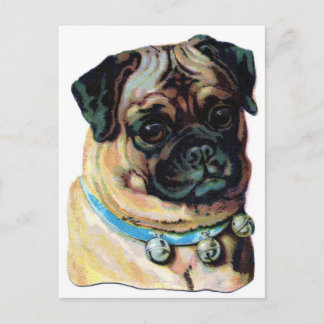 Postal Vintage de pug Dog