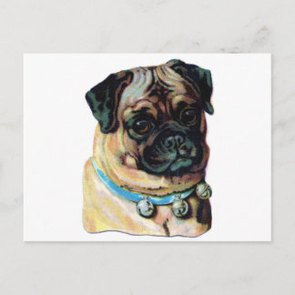 Postal Vintage de pug Dog