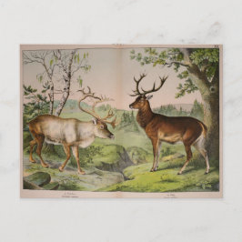 Postal Vintage Deer Stag Ephemera Decoupage Art