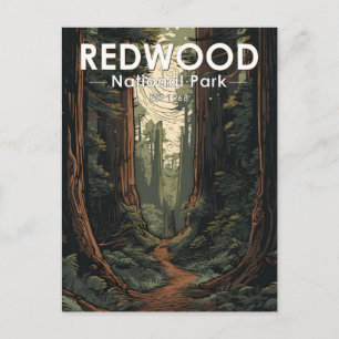 Postal Vintage del Ilustracion del Parque Nacional Redwoo