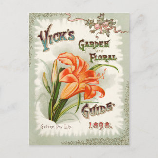 Postal vintage del paquete Lily Day