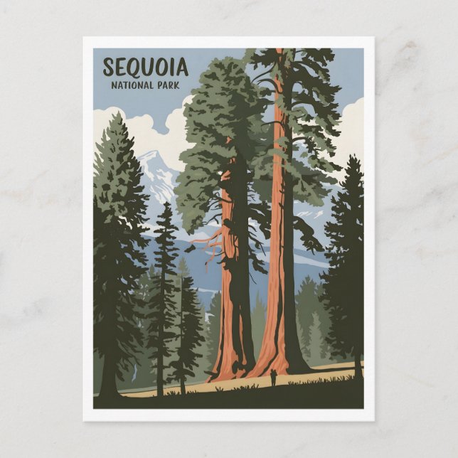 Postal Vintage del Parque Nacional Sequoia (Anverso)