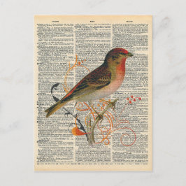 Postal Vintage Dictionary Art Bonito Pájaro Naranja Rojo