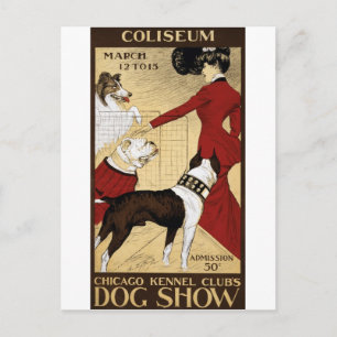 Postal Vintage Dog Show Chicago Postcard