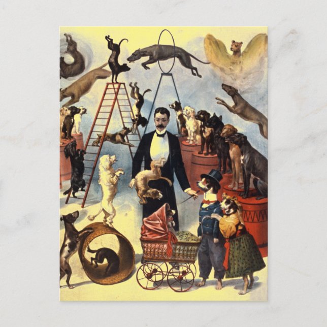 Postal Vintage Dogs Circus Ilustracion Arte Antiguo (Anverso)