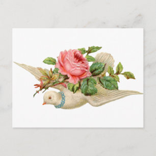 Postal Vintage Dove y Rosa
