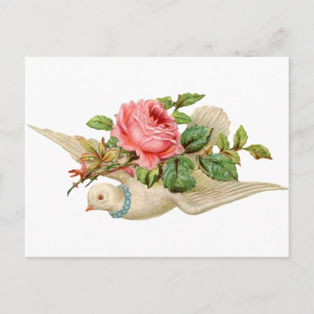 Postal Vintage Dove y Rosa (Anverso)