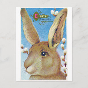 Postal Vintage Easter Big Bunny