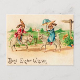 Postal Vintage Easter Bunny Rabbit Riding Lambs Saludos