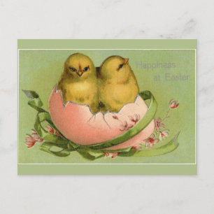Postal Vintage Easter Chicks Hatch