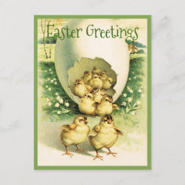 Postal Vintage Easter Greetings Chicks