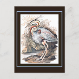 Postal Vintage Elizabeth Gwillim Purple Heron