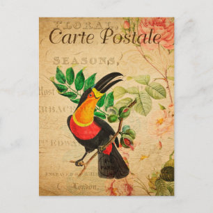 Postal Vintage Exótico Tropical Toucan Bird Floral