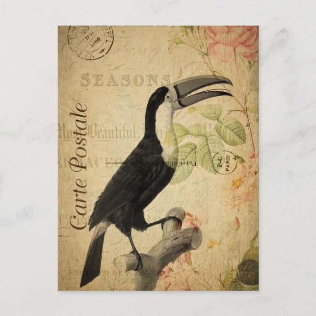 Postal Vintage Exótico Tropical Toucan Bird Floral (Anverso)