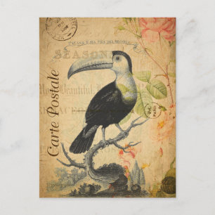 Postal Vintage Exótico Tropical Toucan Bird Floral