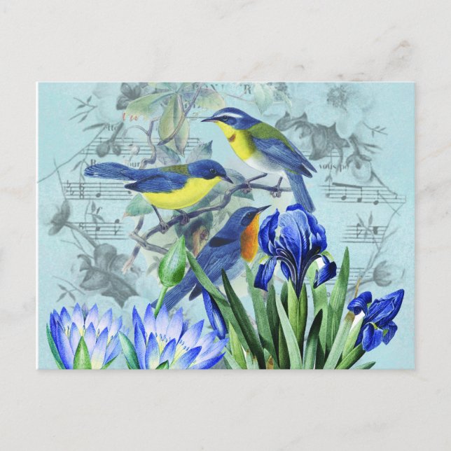 Postal Vintage Floral Songbirds Aparatos y Regalos (Anverso)