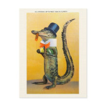 Vintage Florida Alligator Post Card