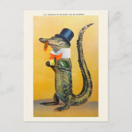 Postal Vintage Florida Alligator Post Card
