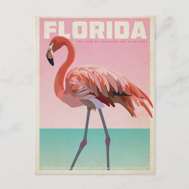 Postal Vintage florida flamigo travel postcard (Anverso)