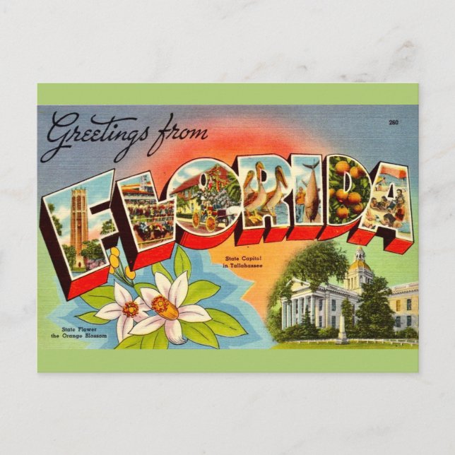Postal Vintage Florida Greeting (Anverso)