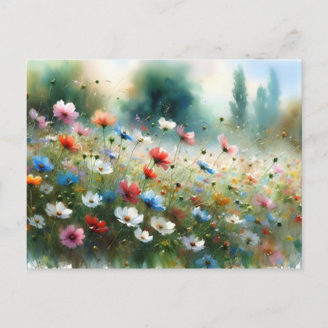 Postal Vintage  Flowers Field Nature Scene (Anverso)