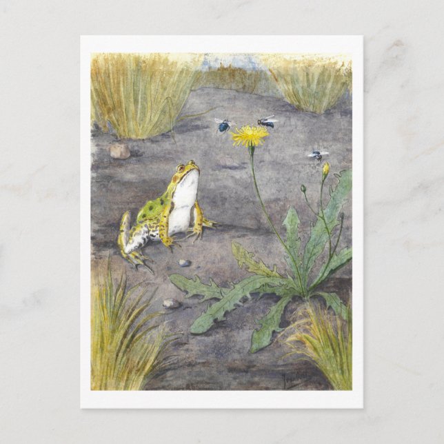 Postal Vintage Frog and Dandelion (Anverso)