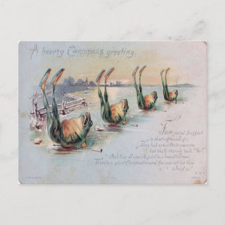 Postal Vintage Funny Frog Skating Fail