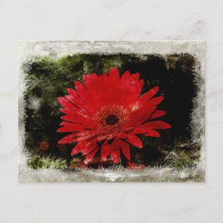 Postal Vintage Gerber Daisy