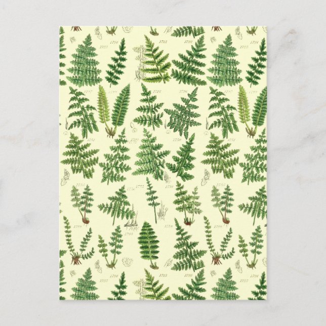 Postal Vintage Green Leafy Plants (Anverso)