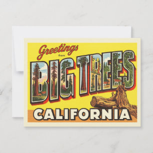 Postal Vintage "Greetings from Big Trees, California"