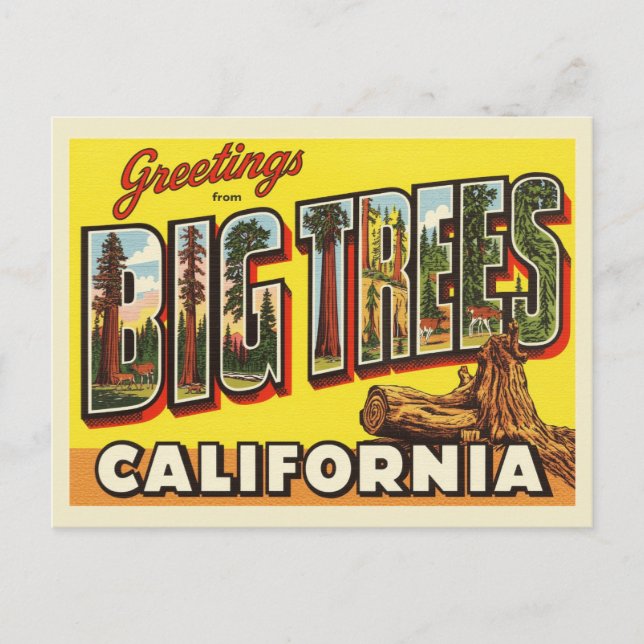 Postal Vintage "Greetings from Big Trees, California" (Anverso)