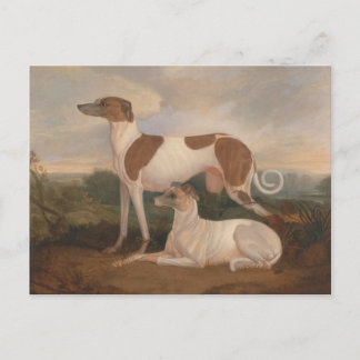 Postal Vintage Greyhounds