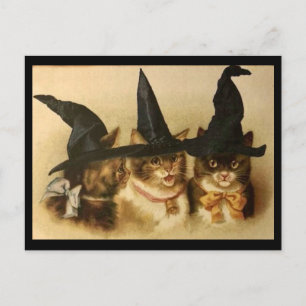 Postal Vintage Halloween Black Cats
