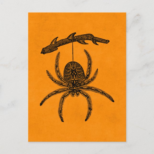 Postal Vintage Halloween Spider Naranja Fondo Spider Spid (Anverso)