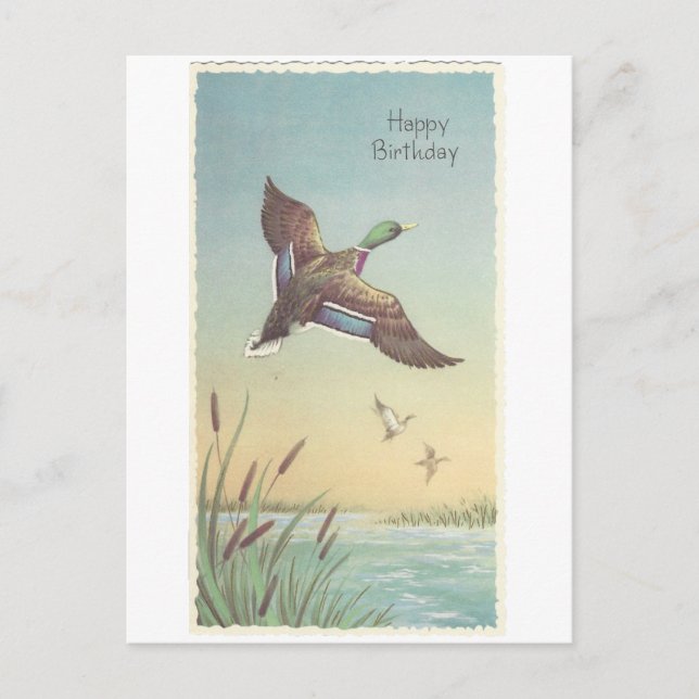 Postal Vintage Happy Birthday Mallard (Anverso)