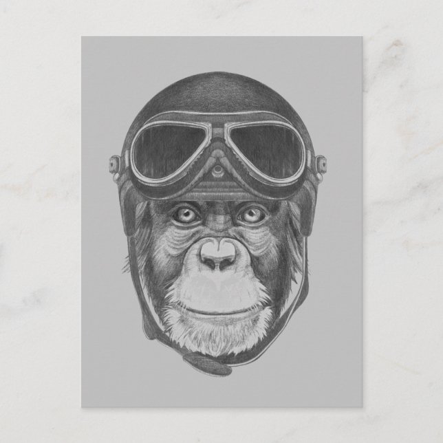 Postal Vintage Helmet Chimpanzee (Anverso)