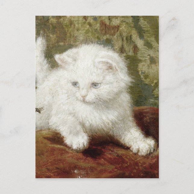 Postal Vintage Henriette Ronner-Knip Curiousity (Anverso)