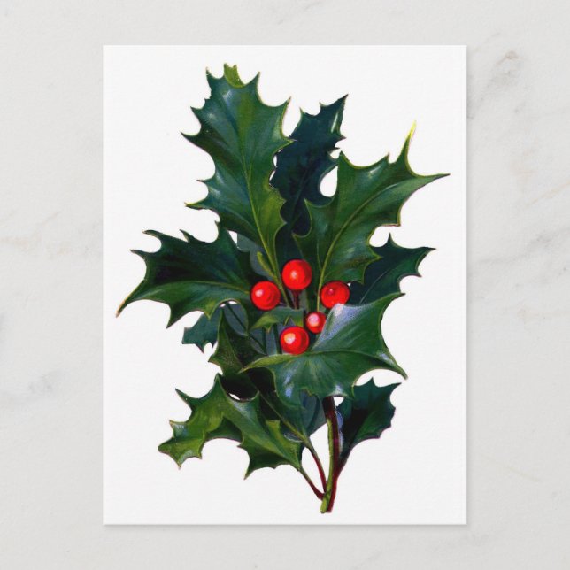 Postal Vintage Holly (Anverso)