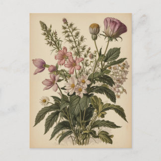 Postal Vintage Illustration of Wildflowers