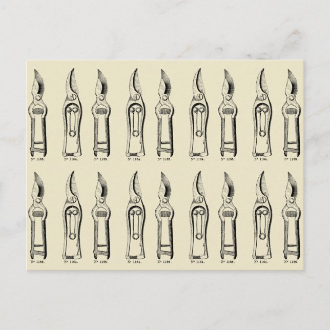 Postal VINTAGE ILUSTRACION Gardening Tools Pruners 2 (Anverso)