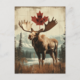 Postal Vintage Kanada Elch Mit Kanadischem Ahornblatt