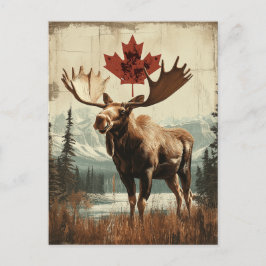 Postal Vintage Kanada Elch Mit Kanadischem Ahornblatt