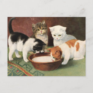 Postal Vintage Katzen und Milch
