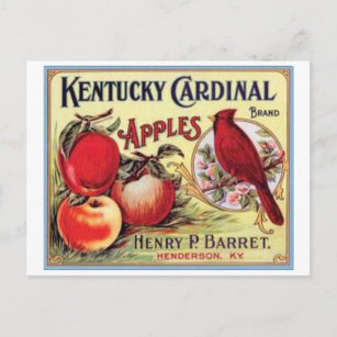Postal Vintage Kentucky Cardinal Apples, Henry P Barret,