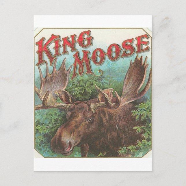 Postal Vintage King Moose (Anverso)