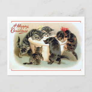Postal Vintage Kitten Fun