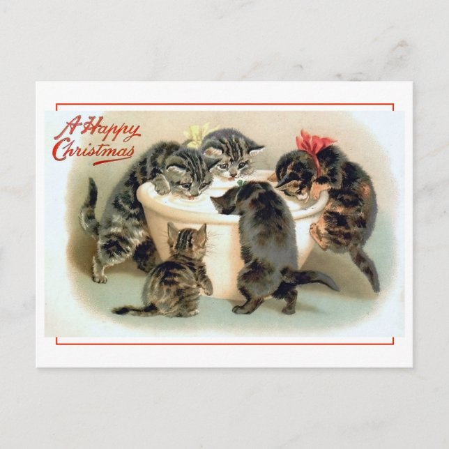 Postal Vintage Kitten Fun (Anverso)