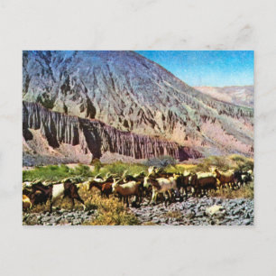 Postal Vintage, la Argentina, erosión de la roca, manada