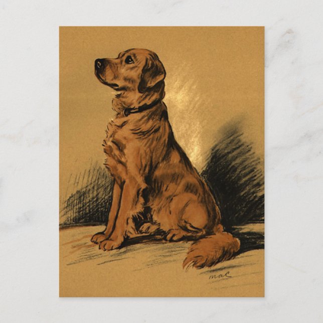 Postal Vintage Labrador (Anverso)